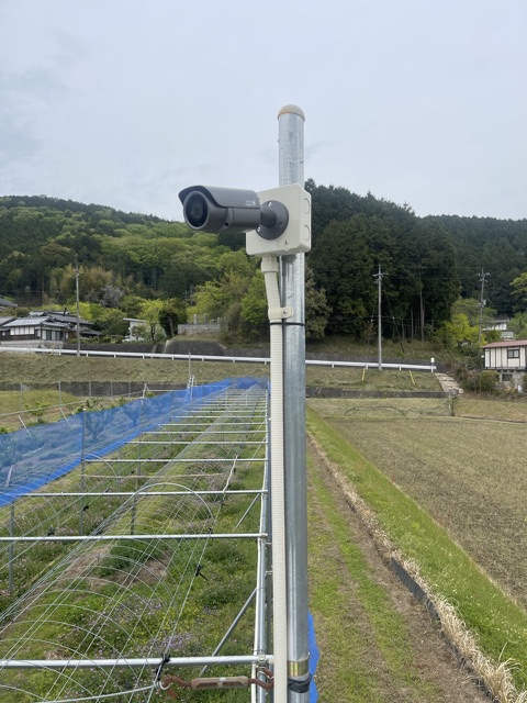 秋に備えて防犯カメラの画像
