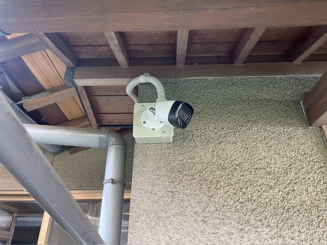 1人暮らしは危険です！の画像